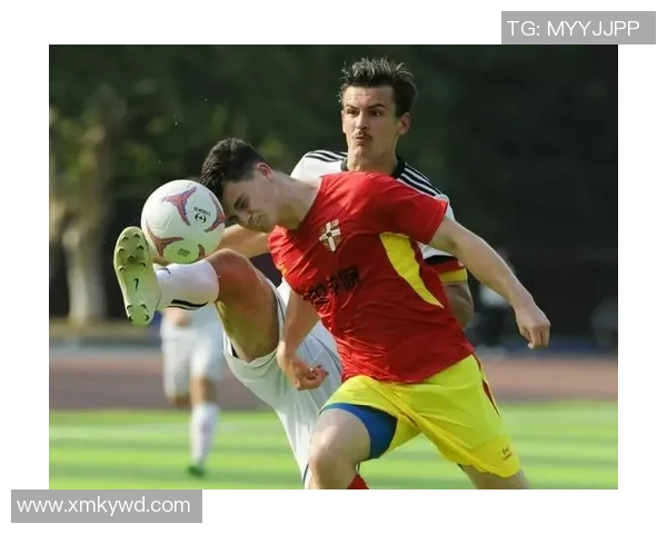 足球二代球星风采集锦：传承与突破的荣耀之路