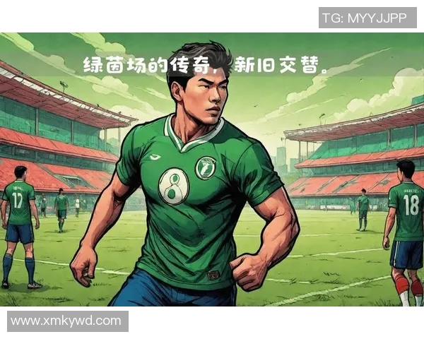 2017年退役足球球星大揭秘：回顾辉煌生涯与告别绿茵场的瞬间