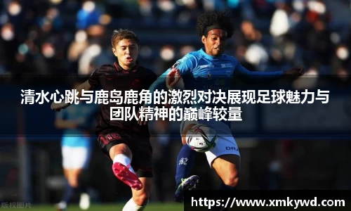 三亿体育登录入口